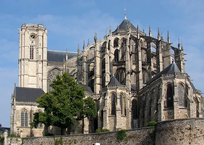 Le Refuge En Chêne Le Mans